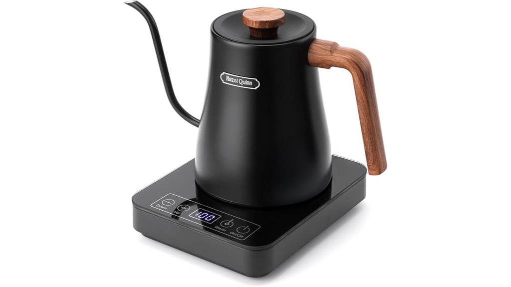 electric kettle with temperature control