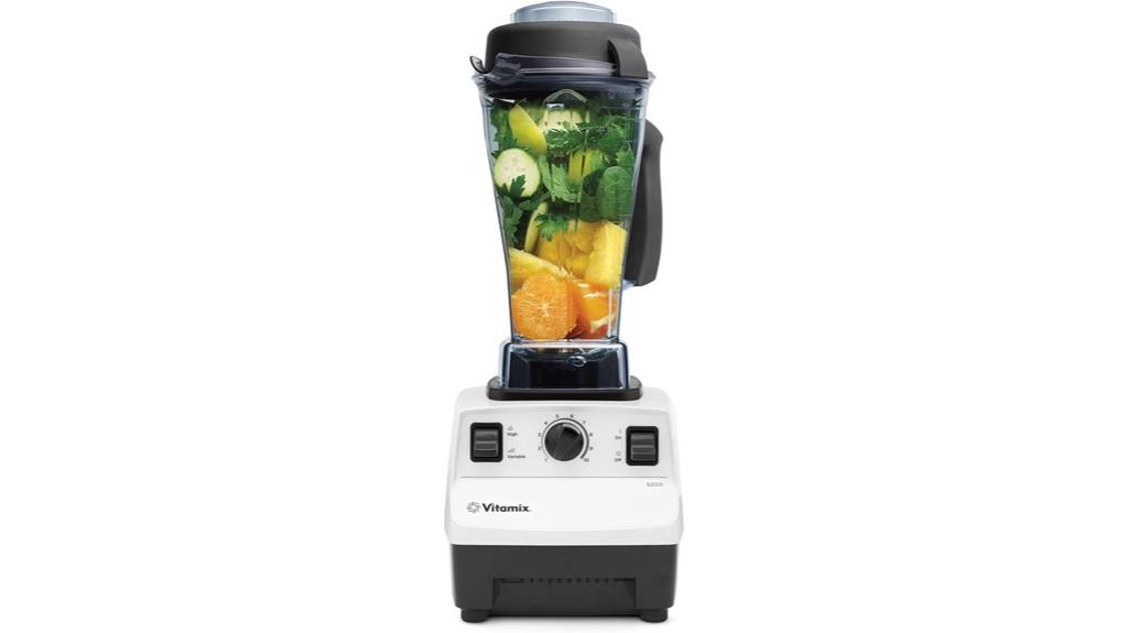 powerful kitchen blender