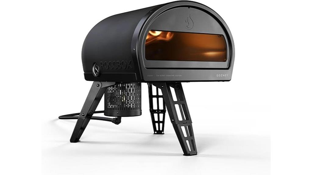 outdoor portable pizza oven