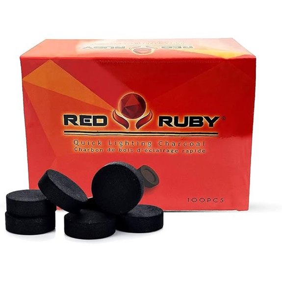 Instant Light Charcoal Disks – 100 Briquettes
