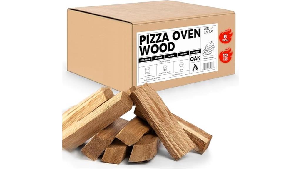 wood fired mini pizza oven