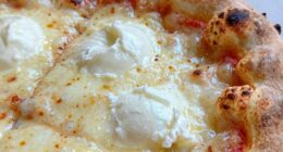 overly moist mozzarella risks