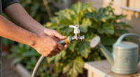 Hosepipe Bans