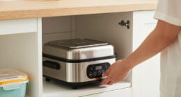 15 Best Electric Lunch Warmers in 2026