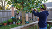 15 Best Backyard Bird Feeders in 2026