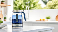 Keep Your Ninja KT200BL Kettle Sparkling This Summer: Care & Troubleshooting Guide