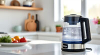 Ninja KT200BL Precision Temperature Electric Kettle: The Summer Brew Companion