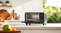 Summer Care & Troubleshooting for the Ninja Foodi XL Pro Air Oven